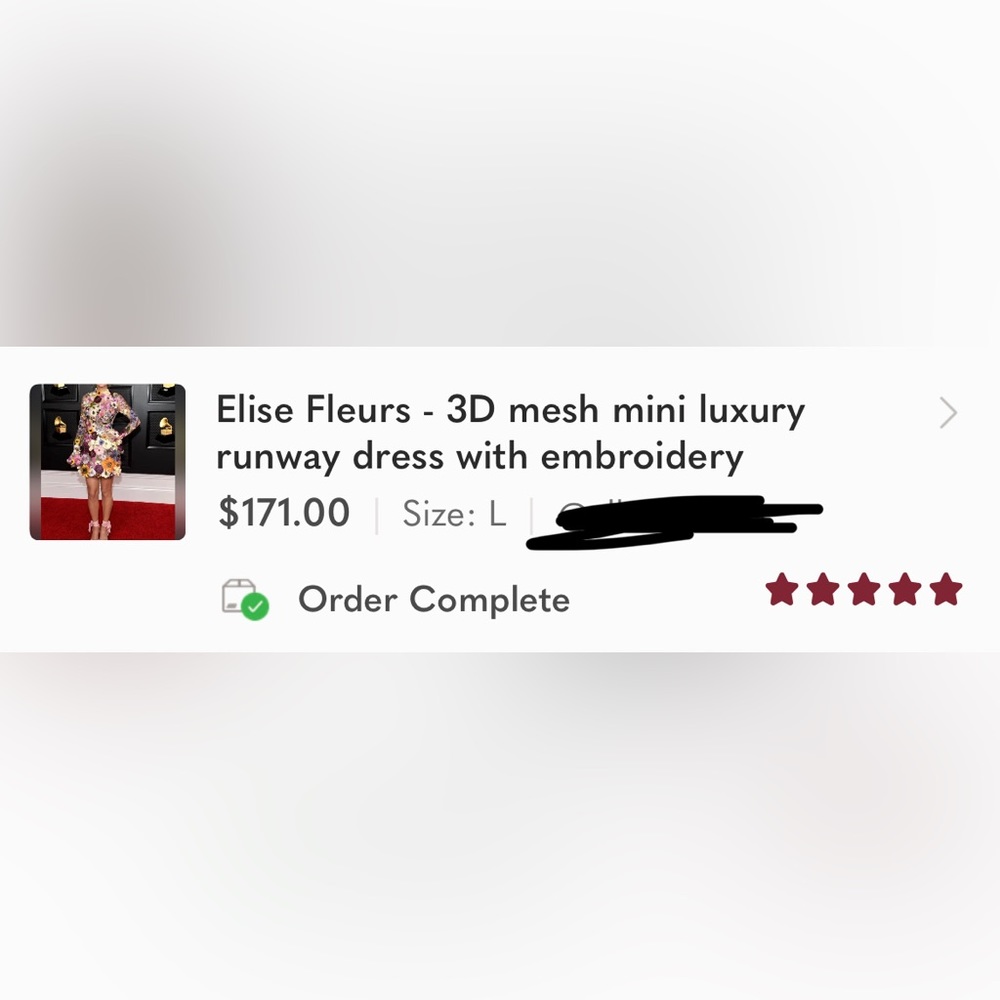 (last 1) Elise Fleurs - 3D mesh mini luxury runway dress with embroidery - Picture 2 of 13